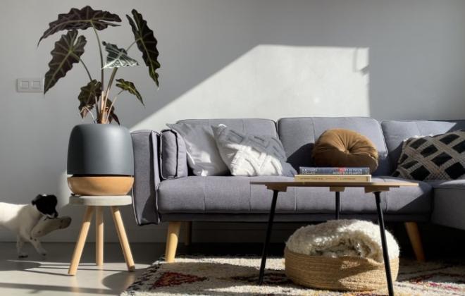 Пополнение в ряду IoT-устройств – «умный» цветочный горшок